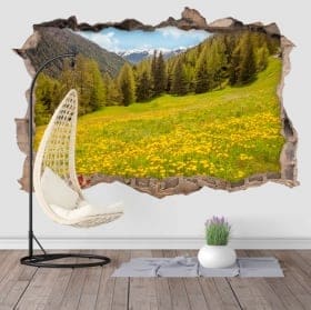 Adesivi murali Campo Tures Italia 3D