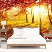 Murales tramonto alberi in autunno