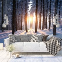 Murales tramonto alberi inverno