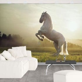 Murales vinile cavallo bianco
