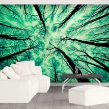 Murales alberi forestali