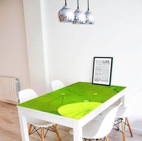 Vinile decorativo tavoli ninfee