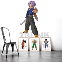 Vinile adesivo e autoadesivi dragon ball trunk