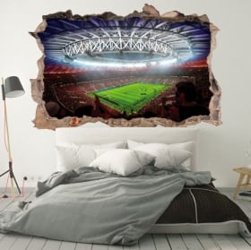 Vinili muri stadio di calcio mondo russia 2018 3d