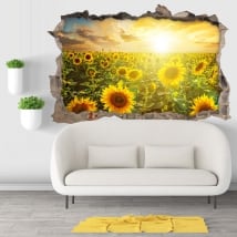 Vinili buco muro campo tramonto di girasoli 3d