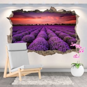 Vinili buco muro campo tramonto di girasoli 3d