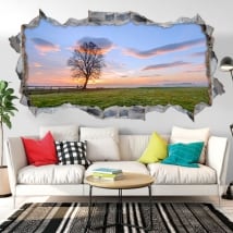 Vinili buco muro tramonto nel campo 3d