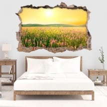 Vinili buco muro tardo pomeriggio fiori nel campo 3d