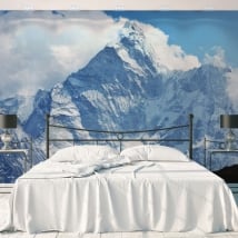 Murales in vinile montagne innevate nepal