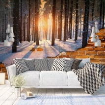 Gigantografie muro rotto tramonto alberi inverno