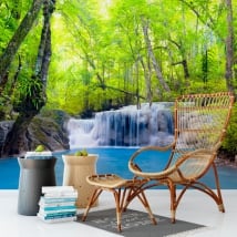 Murales in vinile cascate nella foresta