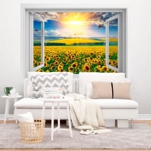 Vinili finestre tardo pomeriggio campo di girasoli 3d