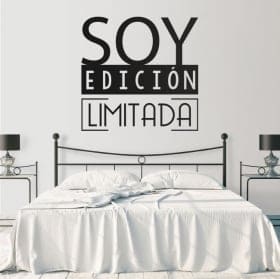 Vinile decorativo e adesivi frasi sono in edizione limitata