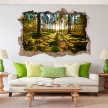 Adesivi decorativi 3d tramonto nella foresta