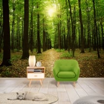Murales alberi nella foresta