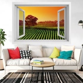 Vinili finestra tramonto nel campo dei fiori 3d