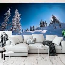 Murales in vinile pini nella neve