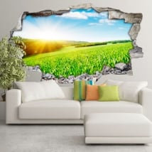 Vinili 3d tramonto sul campo