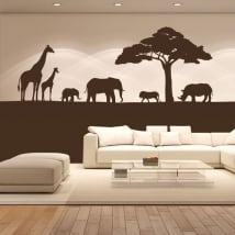 Vinile decorativo animali d'africa