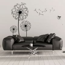 Vinile decorativo fiori di tarassaco