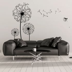 Vinile decorativo fiori di tarassaco