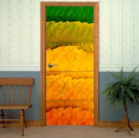 Vinile per porte fiori margherite