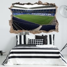 Vinili 3d rcde stadium