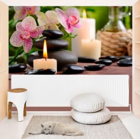 Murales in vinile con uno stile retr&ograve; da decorare