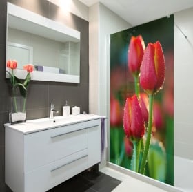 Vinile per schermi fiori di tulipani