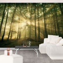 Murales in vinile raggi di sole e alberi in autunno