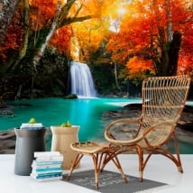 Murales in vinile cascata e alberi in autunno