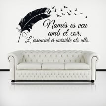 Vinile e adesivi frase il piccolo principe in catalano