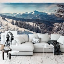 Murali in vinile paesaggio con montagne innevate