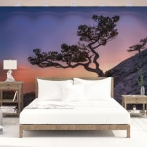 Murali in vinile albero e tramonto