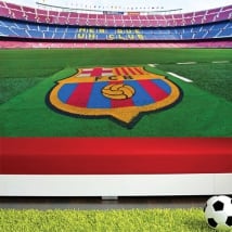 Murales stadio di calcio camp nou barça