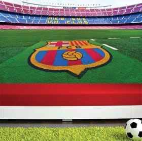 Murales stadio di calcio camp nou barça