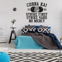 Vinili e adesivi cobra kai