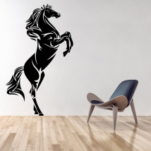 Vinili decorativi e adesivi cavallo