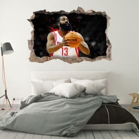 Vinile 3d james harden rockets nba
