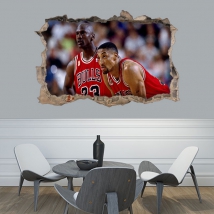 Vinile decorativo 3d michael jordan chicago bulls