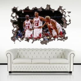 Vinili 3d giocatori di basket chicago bulls