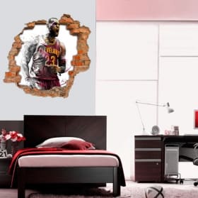 Vinile decorativo 3d basket lebron james nba