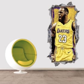 Vinili 3d basket lebron james nba
