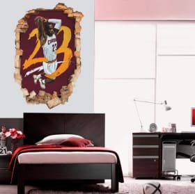 Vinili 3d lebron james nba