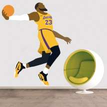 Vinile e adesivi basket lebron james