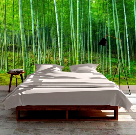 Carta da parati o murale della foresta di bambù di meditazione zen