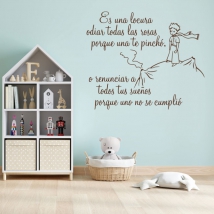 Vinili decorativi frase il piccolo principe