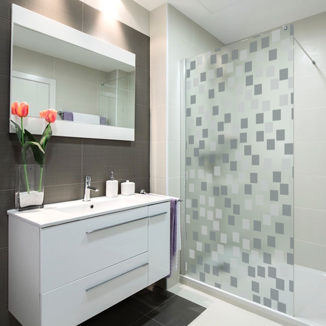 Vinili schermi del bagno quadrati di colori